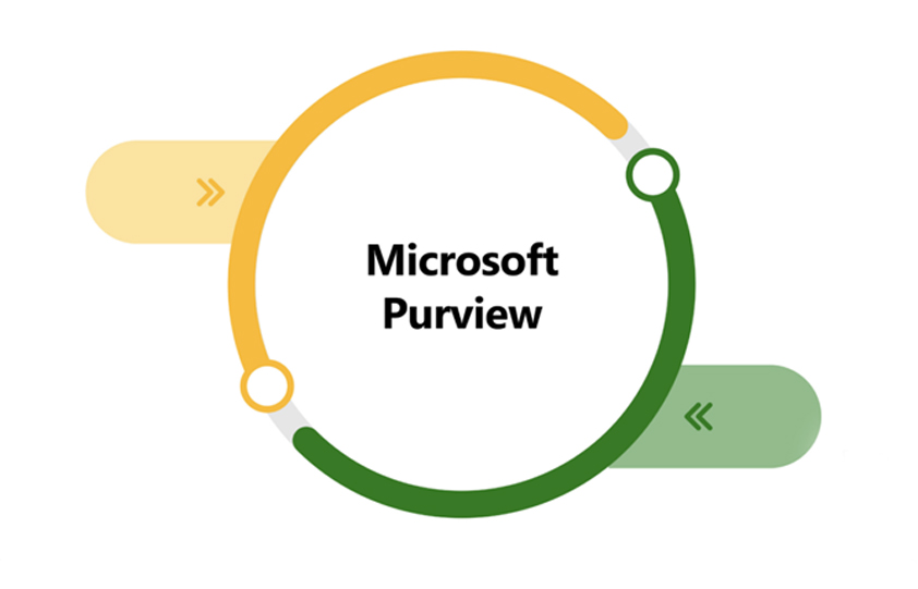 Microsoft Purview 