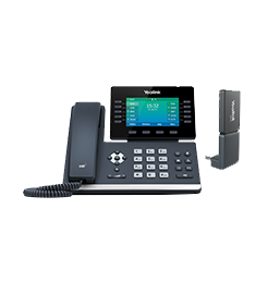 DECT Phones W53H 