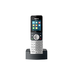 DECT Phones W53H 