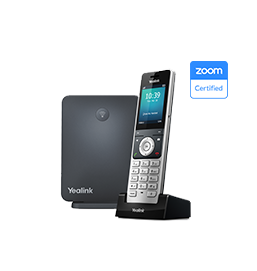 Zoom Phones W60P